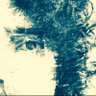 Leandro Santos's profile picture