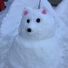 Profilbild von てっつん