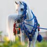 Фото профиля المباشر(سعيد السعيد) رخصة فال 1100037550
