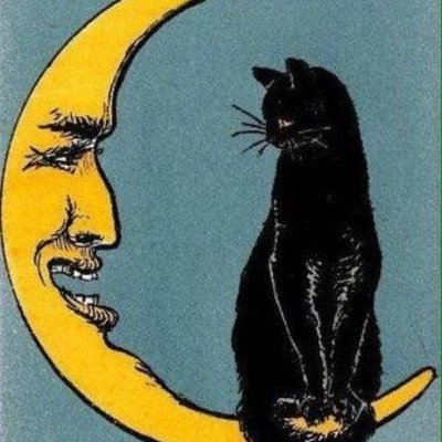 gattocciao's profile picture