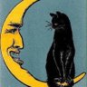 Il Gatto Nero 🐈⬛ profil fotoğrafı