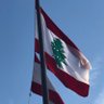 المغترب's profile picture