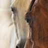 MaSaR profil fotoğrafı