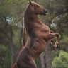 Фото профиля nouf