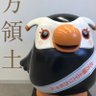 けむけむ 的头像