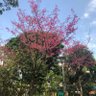 烏頭鳥仔 的头像