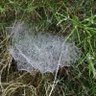 Фото профиля safaalbal
