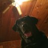 holy like hell's profile picture
