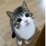 nonoチャレンジ profil fotoğrafı