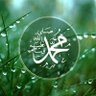 #انسان مصرى.'s profile picture