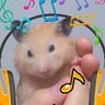 Profilbild von さくら草