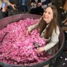 Anna Muradova's profile picture