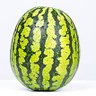 Monica Melon profil fotoğrafı