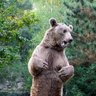 Фото профиля German Enrique Saez