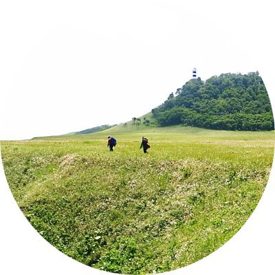 rusafieldhouse's profile picture