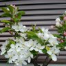 岩にせかるる滝川局 profil fotoğrafı