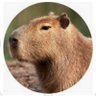🇵🇱Capivara Colorada🇵🇱 profil fotoğrafı