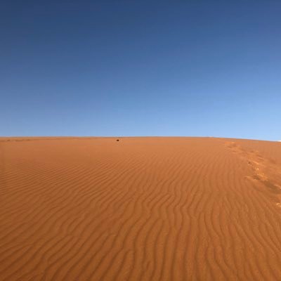 sujays's profile picture