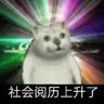 阿凡提's profile picture