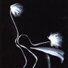 Macedonia II's profile picture