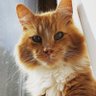 DougieFresh profil fotoğrafı