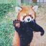るんるん's profile picture
