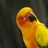 Фото профиля Richard Evans