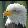 John Cruise profil fotoğrafı