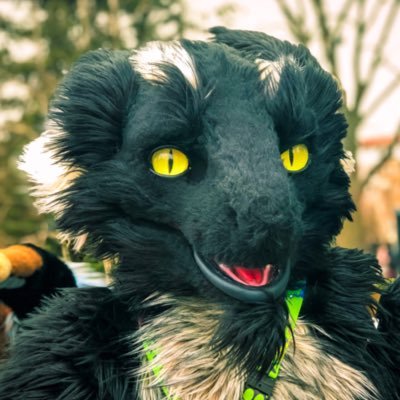 CHARCOAL THE SERGAL🖤's profile picture