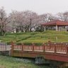 珠森 幻影斎(みず) profil fotoğrafı