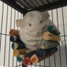 Profilbild von Arroe Roberta