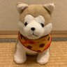 のうさぎ nousagi profil fotoğrafı