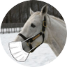 Profilbild von アクダマン🏇🍜📈🚕（穴党)