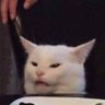 quakeroats's profile picture