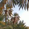 صالح 的头像