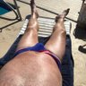island bear's profile picture