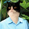 Profilbild von David Cattenborough