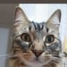 jlotero profil fotoğrafı