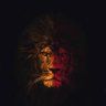 Asil Aslan's profile picture