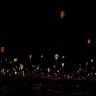Field of Lights profil fotoğrafı