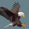 LandOfTheFREE profil fotoğrafı