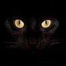 Profilbild von Chris