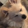 Keith Mah's profile picture