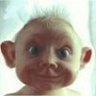 Profilbild von Steve Alimonti