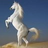 Braiden Million's profile picture