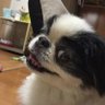 Chami_mu's profile picture