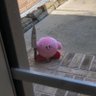 H. Green 🇺🇸 的头像
