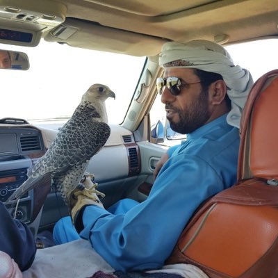 راشدغريب راشد عبيد المنصوري's profile picture