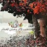 Yasmin mohammad saad's profile picture
