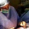 DR.Enas zeama profil fotoğrafı